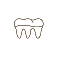 ブリッジ（義歯）